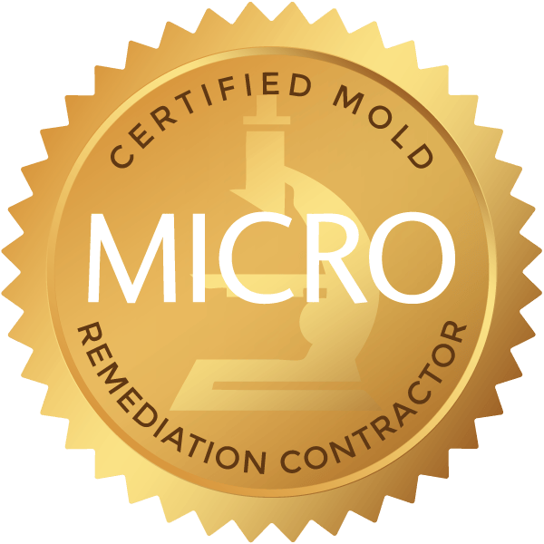 Certified Mold Remediation
